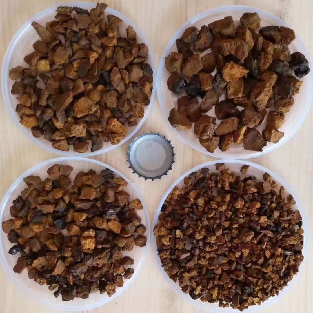 Chaga Mushroom Extract Powder Wholesale チャーガマッシュルームエキスパウダー卸売