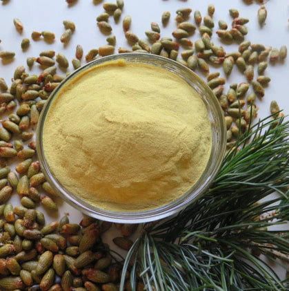 Pollen powder 花粉粉