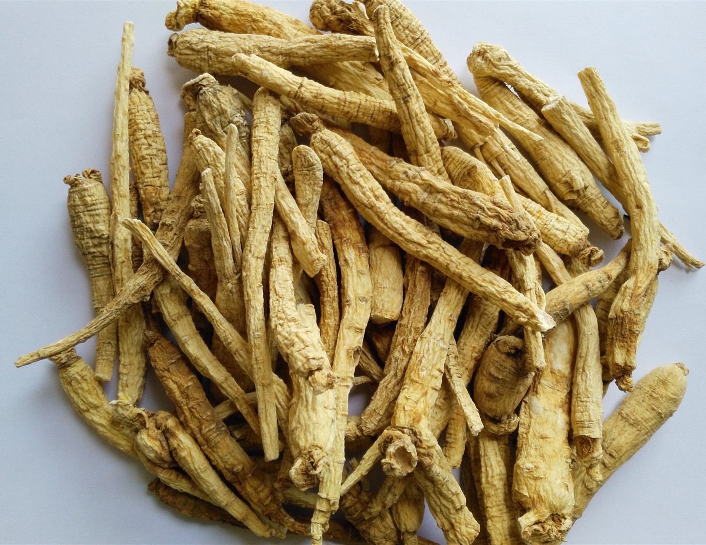 Ginseng Root Powder Price 高麗人参根粉末の価格