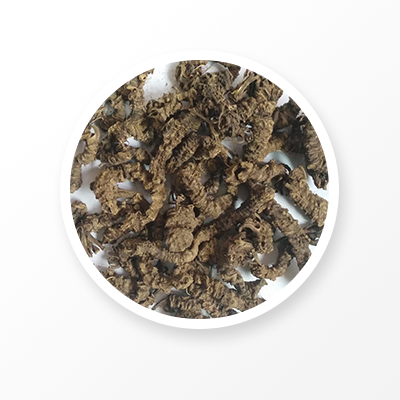 バレリアンルート 