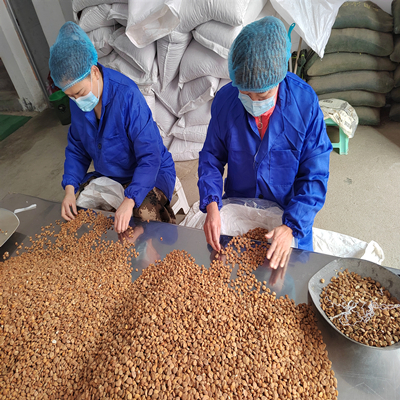 ビターアプリコットカーネル