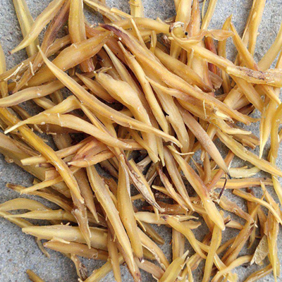 基数アスパラギ