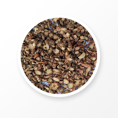 Salvia Miltiorrhiza ルート 
