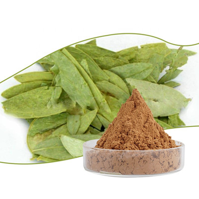 センナ葉エキス 