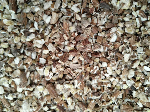 有機たんぽぽの根 