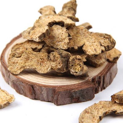 剣のような Atractylodes の根茎 