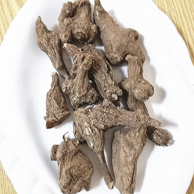 Atractylodes Macrocephala Koidz