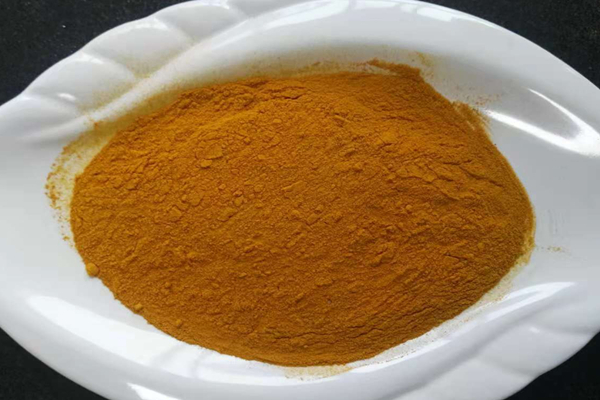 ウコンの根の粉末