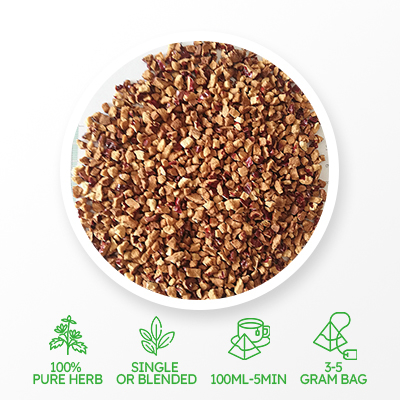 ナツメヤシ/ナツメ 