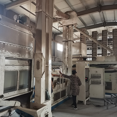 カッシアシードスリミングティー