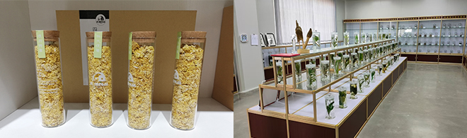 factory 2 - NATURECHOICE