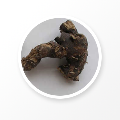 ブラックコホシュの根