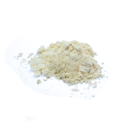 白インゲン豆エキス 