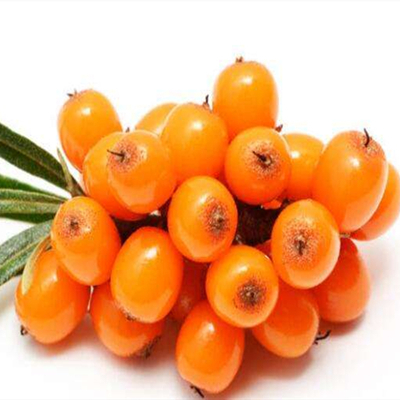 フリーズドライシーバックソーンパウダー