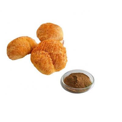 多糖類ヤマブシタケエキス